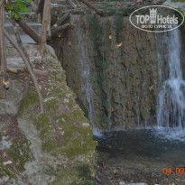 фото из отзыва ID 597246