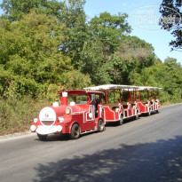 фото из отзыва ID 598024