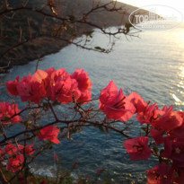 фото из отзыва ID 598142