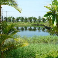 фото из отзыва ID 598340