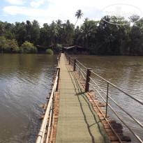 фото из отзыва ID 598459