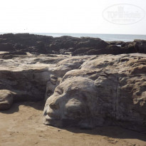 фото из отзыва ID 598459