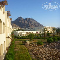 фото из отзыва ID 598494