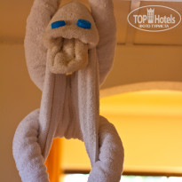 фото из отзыва ID 598641