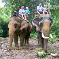 фото из отзыва ID 598732