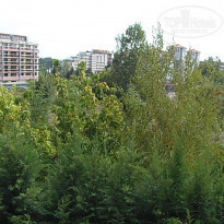 фото из отзыва ID 598954