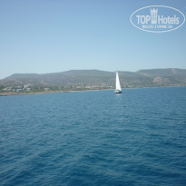 фото из отзыва ID 599078