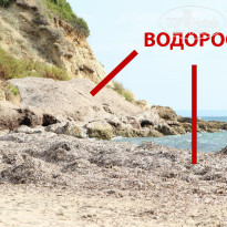 фото из отзыва ID 599698