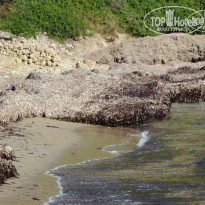 фото из отзыва ID 599698