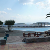 фото из отзыва ID 599904