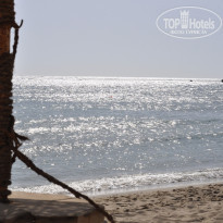 фото из отзыва ID 599974