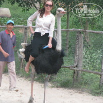 фото из отзыва ID 599616