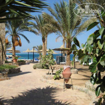 фото из отзыва ID 59920