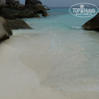 фото из отзыва ID 600894