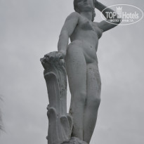 фото из отзыва ID 600028