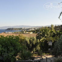 фото из отзыва ID 600099