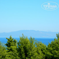 фото из отзыва ID 600141