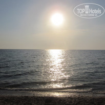 фото из отзыва ID 600513