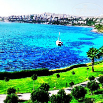 фото из отзыва ID 600572