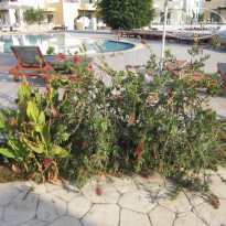 фото из отзыва ID 600631