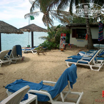 фото из отзыва ID 600755