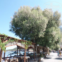 фото из отзыва ID 600890