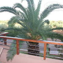 фото из отзыва ID 601243