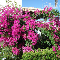 фото из отзыва ID 601258