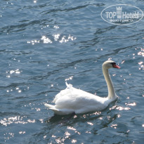 фото из отзыва ID 601343