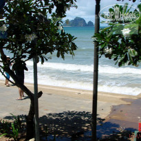 фото из отзыва ID 601361