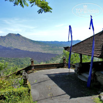 фото из отзыва ID 601477