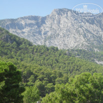 фото из отзыва ID 601506