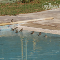 фото из отзыва ID 602519