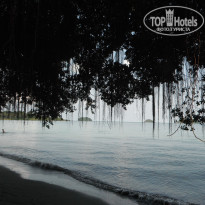 фото из отзыва ID 602667