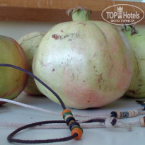 фото из отзыва ID 602742