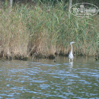 фото из отзыва ID 602908