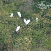 фото из отзыва ID 602908