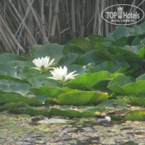 фото из отзыва ID 602908