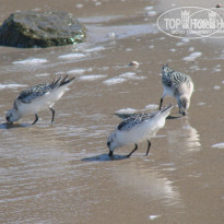 фото из отзыва ID 602908