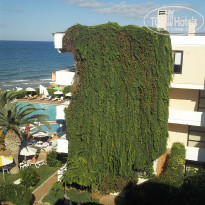 фото из отзыва ID 602929