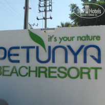 фото из отзыва ID 602150