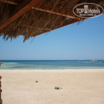 фото из отзыва ID 603453