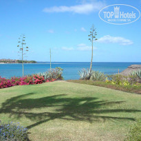 фото из отзыва ID 603564