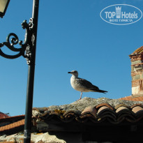 фото из отзыва ID 603717