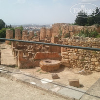 фото из отзыва ID 603855