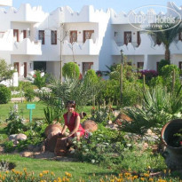 фото из отзыва ID 6049