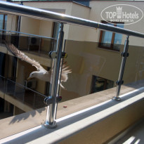 фото из отзыва ID 604099