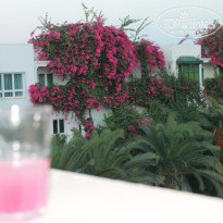 фото из отзыва ID 604243