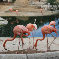 фото из отзыва ID 604243