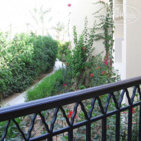 фото из отзыва ID 60462